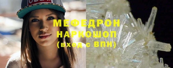 стаф Корсаков