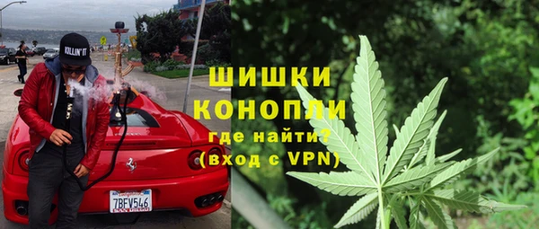 индика Баксан