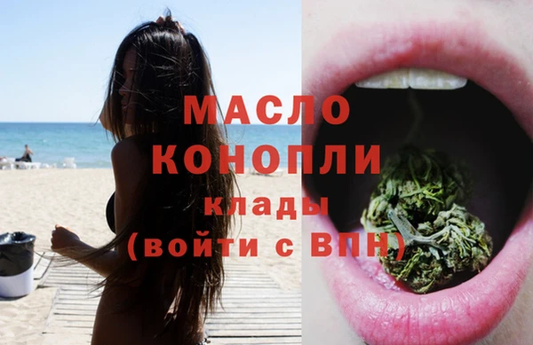 индика Баксан