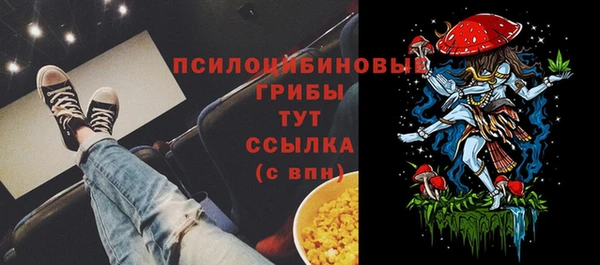 мет Арсеньев