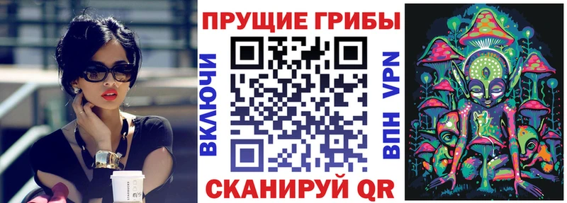 Галлюциногенные грибы MAGIC MUSHROOMS купить Кемерово